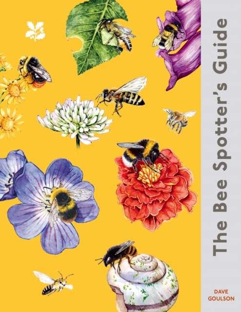 The Bee Spotter’s Guide - 9780008781316