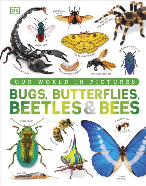 Our World in Pictures Bugs, Butterflies, Beetles and Bees - 9780241772188
