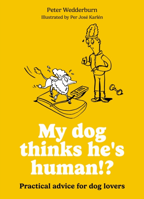 My dog thinks he's human!? : Practical advice for dog lovers - 9780600640066