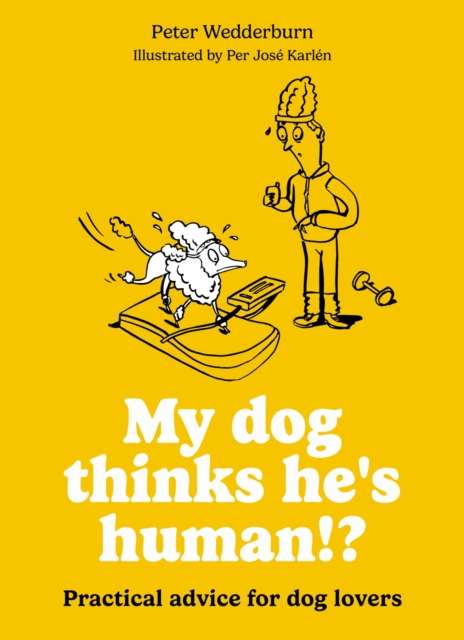 My dog thinks he's human!? : Practical advice for dog lovers - 9780600640066