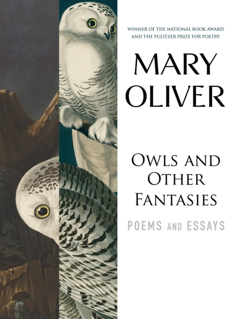 Owls and Other Fantasies : Poems and Essays - 9780807068755