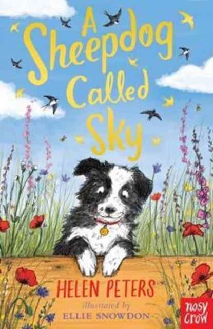 A Sheepdog Called Sky - 9780857639110