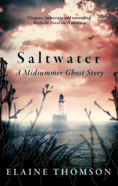 Saltwater : A midsummer ghost story - 9781408724729