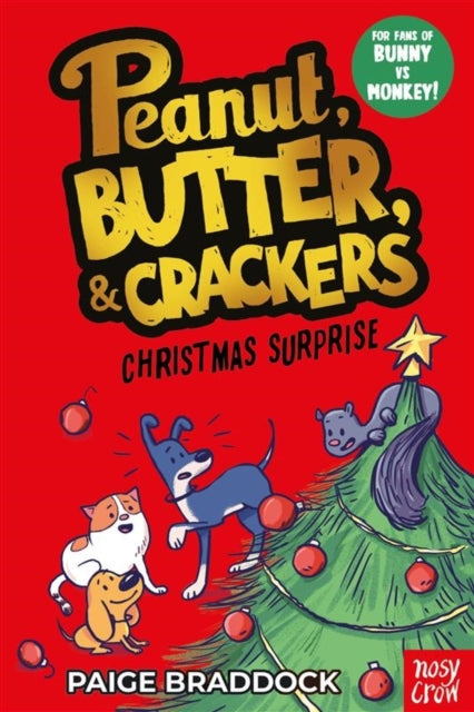 Christmas Surprise : A Peanut, Butter & Crackers story - 9781805134589