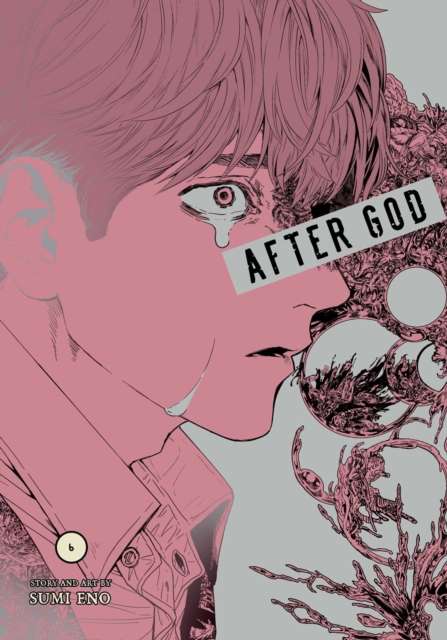 After God, Vol. 6 - 9781974758302