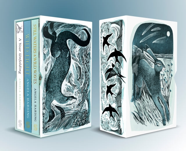 A Year Unfolding, Wild Light, Still Waters & Wild Waves - Signed Edition