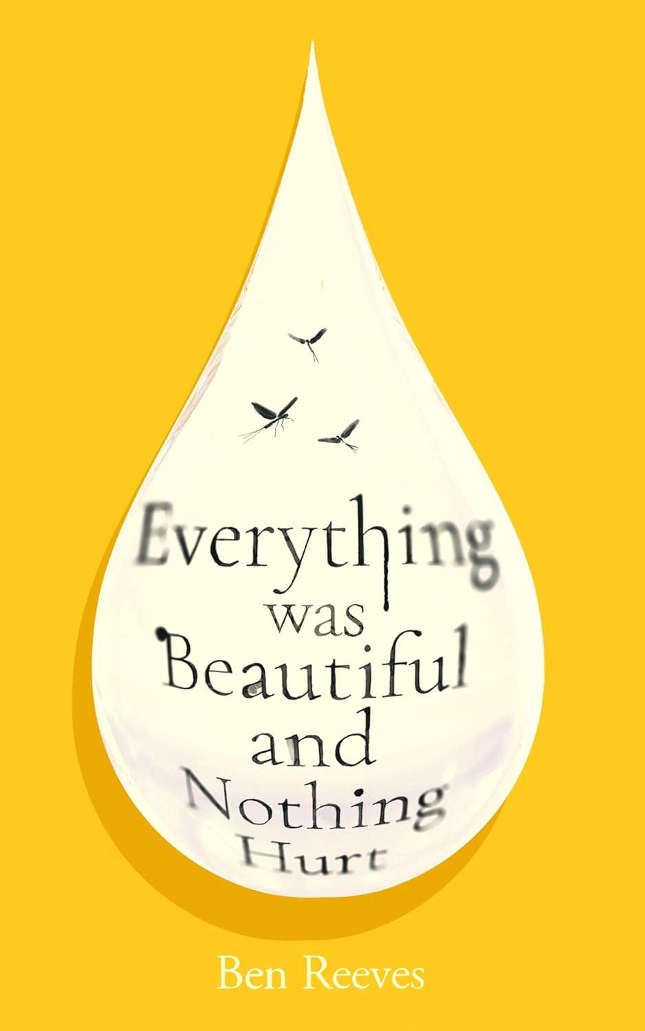 Everything Was Beautiful And Nothing Hurt - Signed Bookplate First Edition