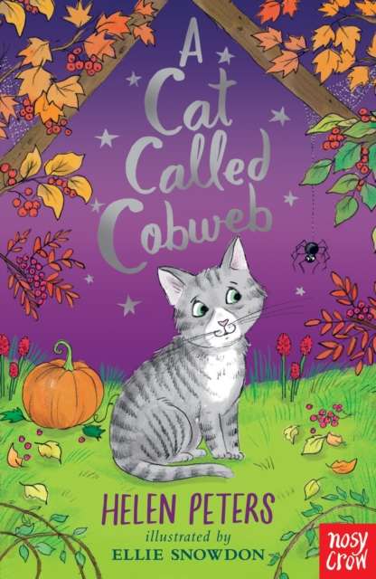 A Cat Called Cobweb - The Cleeve Bookshop