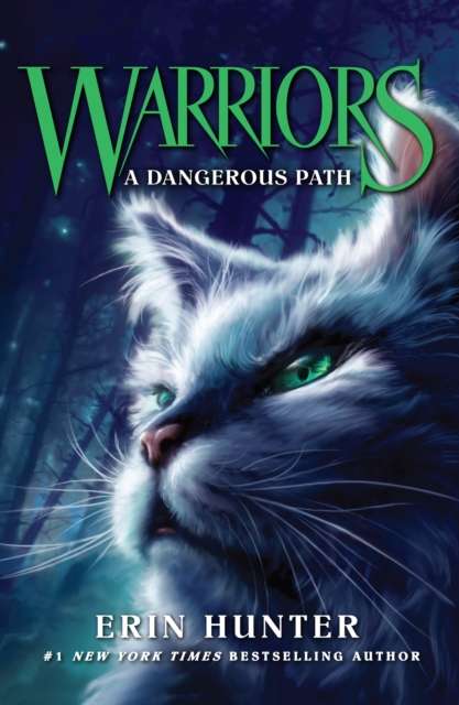 A Dangerous Path : Book 5 - The Cleeve Bookshop