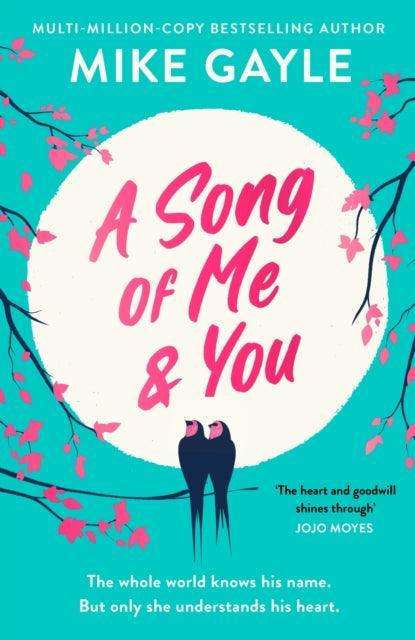 A Song of Me and You : everyone knows this rock star's name: only his first love understands his heart - The Cleeve Bookshop