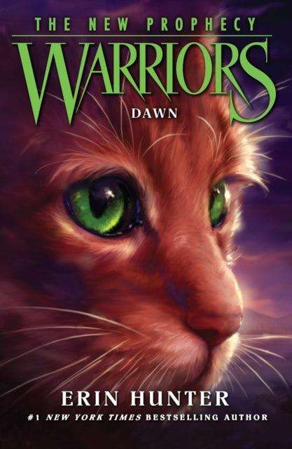 DAWN : Book 3 - The Cleeve Bookshop