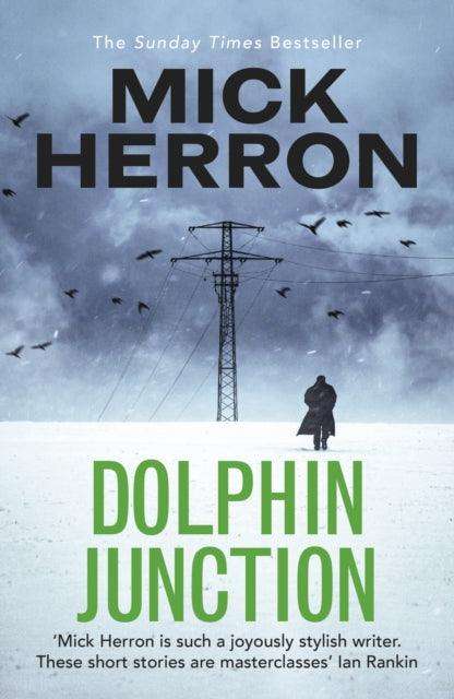 Dolphin Junction - The Cleeve Bookshop