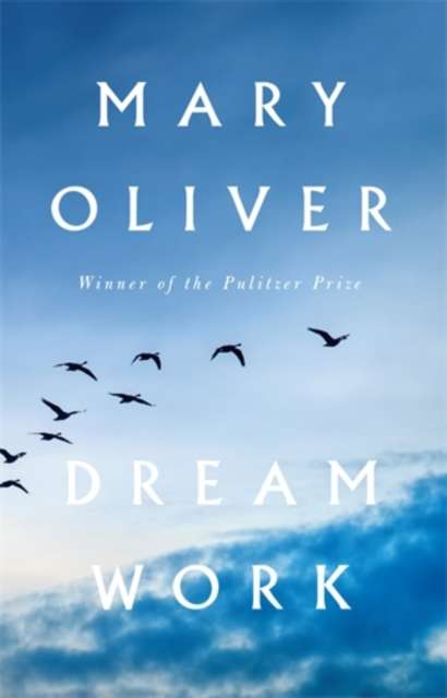 Dream Work - The Cleeve Bookshop