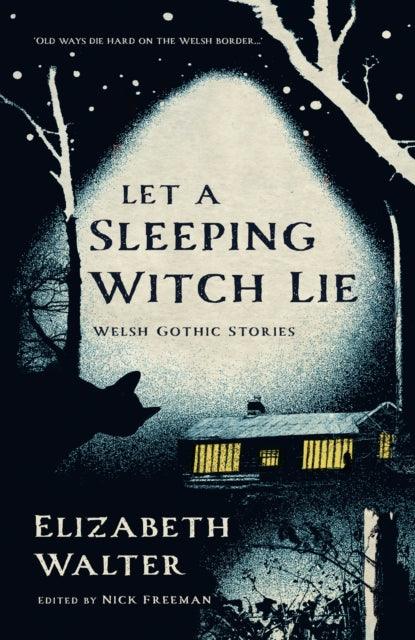 Let a Sleeping Witch Lie : Welsh Gothic Stories by Elizabeth Walter - The Cleeve Bookshop