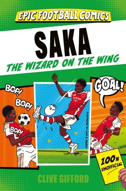 Saka : The Wizard on the Wing - The Cleeve Bookshop