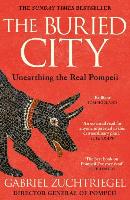 The Buried City : The Revelatory New History from the Director of Pompeii - a Sunday Times Bestseller - The Cleeve Bookshop