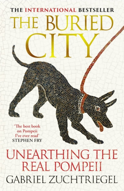 The Buried City : Unearthing the Real Pompeii - The Cleeve Bookshop