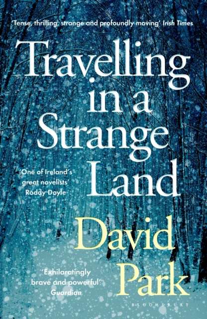 Travelling in a Strange Land : Winner of the Kerry Group Irish Novel of the Year - The Cleeve Bookshop