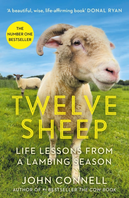 Twelve Sheep : Life lessons from a lambing season - The Cleeve Bookshop
