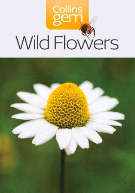 Wild Flowers - The Cleeve Bookshop
