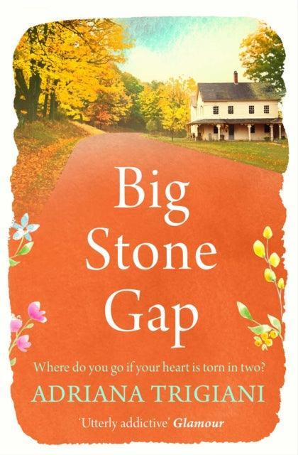 Big Stone Gap - The Cleeve Bookshop