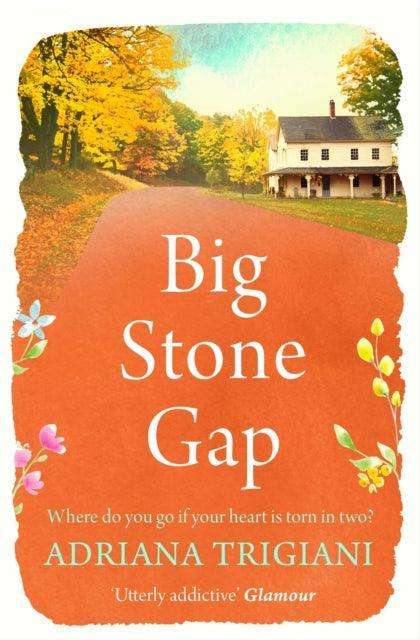Big Stone Gap - The Cleeve Bookshop