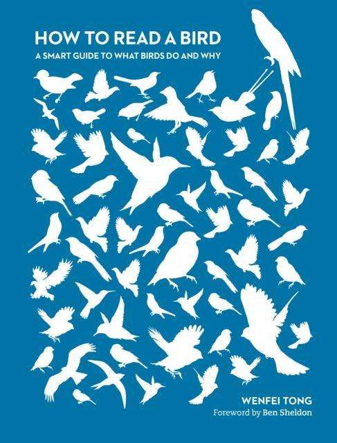 How to Read a Bird : A Smart Guide to What Birds Do and Why - The Cleeve Bookshop