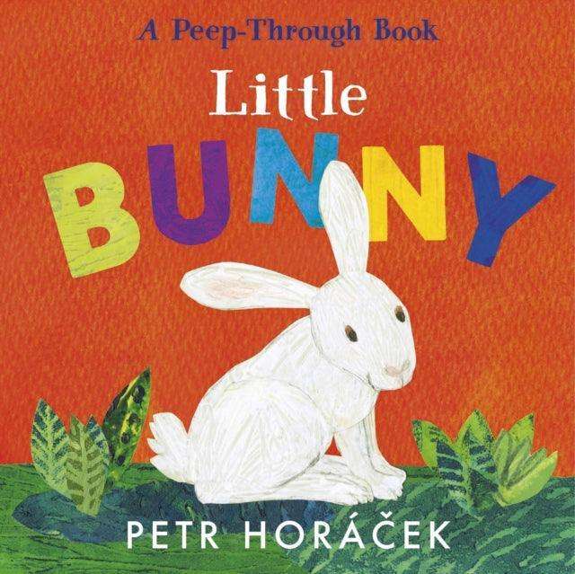 Little Bunny - The Cleeve Bookshop