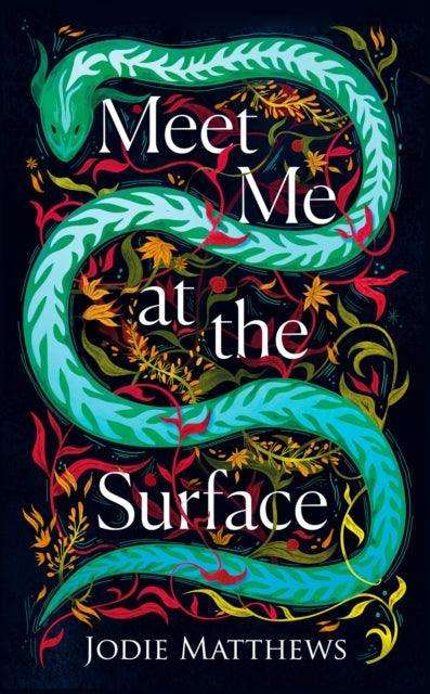 Meet Me at the Surface - The Cleeve Bookshop