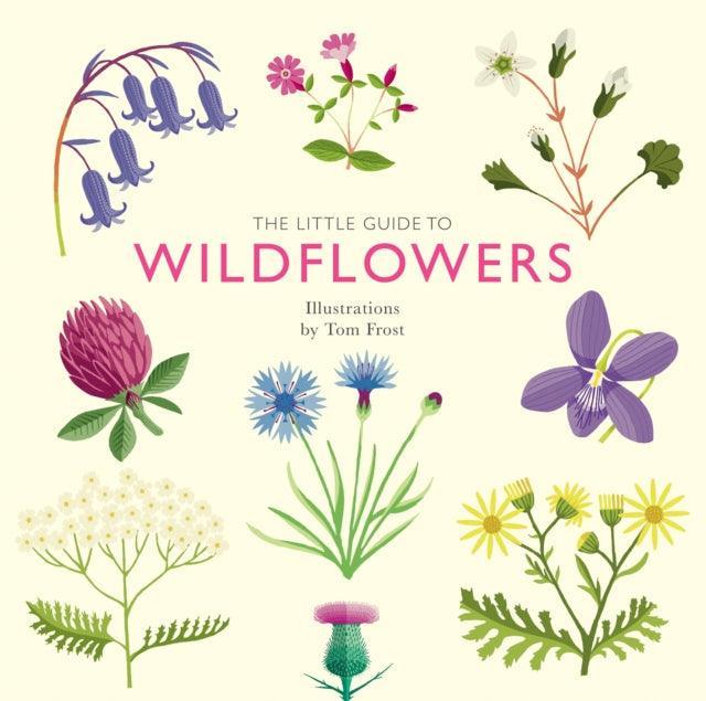 The Little Guide to Wildflowers - The Cleeve Bookshop