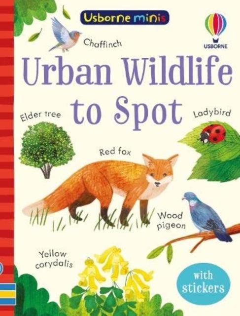 Urban Wildlife to Spot - The Cleeve Bookshop