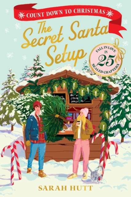 The Secret Santa Setup : Count Down to Christmas with 25 Sealed Chapters - 9780063573307