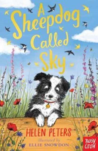 A Sheepdog Called Sky - 9780857639110