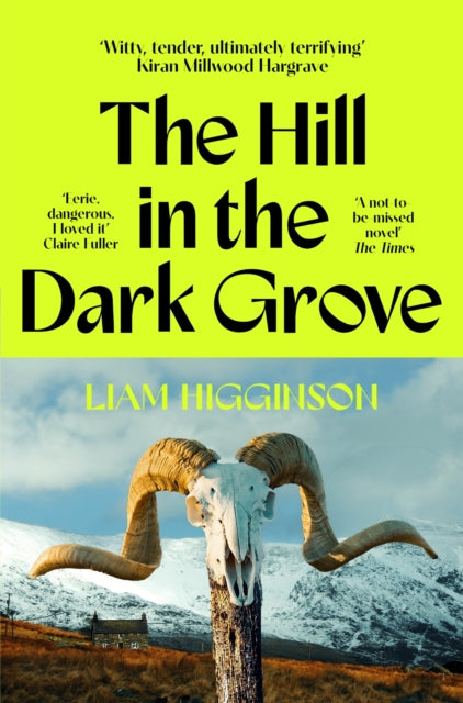 The Hill in the Dark Grove - 9781035069446