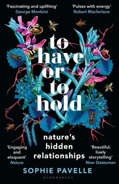 To Have or To Hold : Nature's Hidden Relationships - 9781399412179