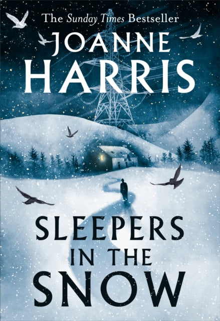 Sleepers in the Snow - 9781399604796