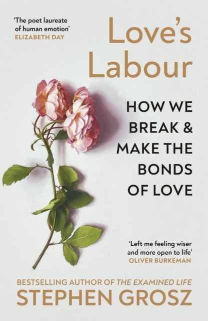 Love’s Labour - 9781529932416