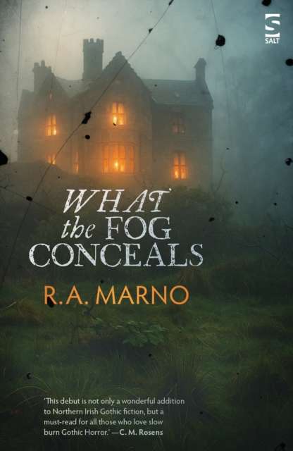 What the Fog Conceals - 9781784633905