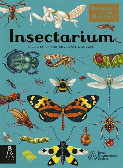 Insectarium - 9781800782563