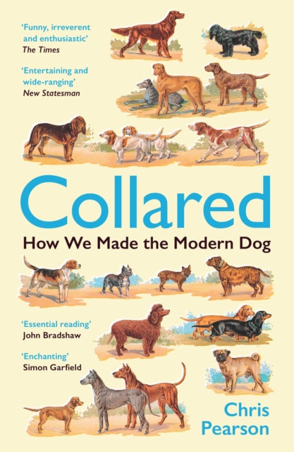Collared : How We Made the Modern Dog - 9781800816404