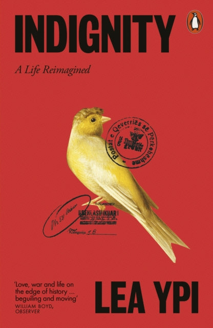 Indignity : A Life Reimagined - 9781802064124