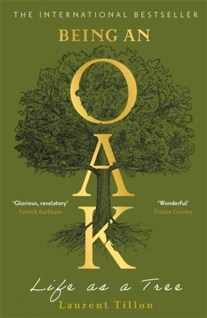Being an Oak : Life as a tree - 9781804183410