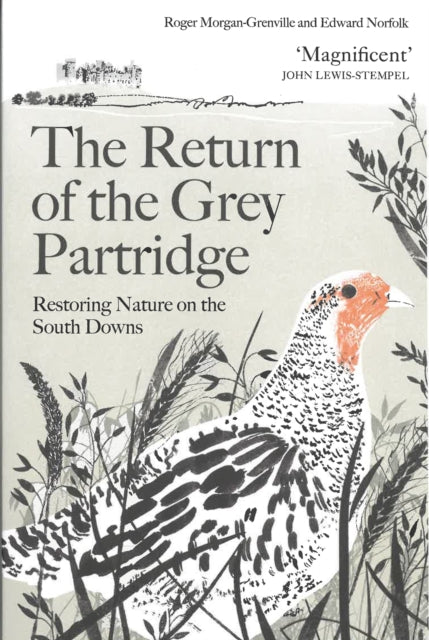 The Return of the Grey Partridge : Restoring Nature on the South Downs - 9781805223498