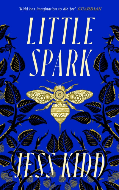 Little Spark - 9781838856557