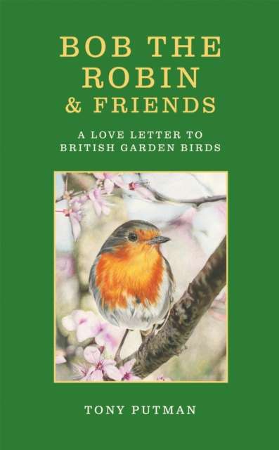 Bob the Robin & Friends : A Love Letter to British Garden Birds - 9781856756051