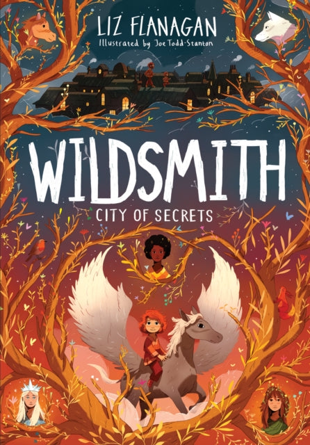 City of Secrets : The Wildsmith #2 - 9781915235077