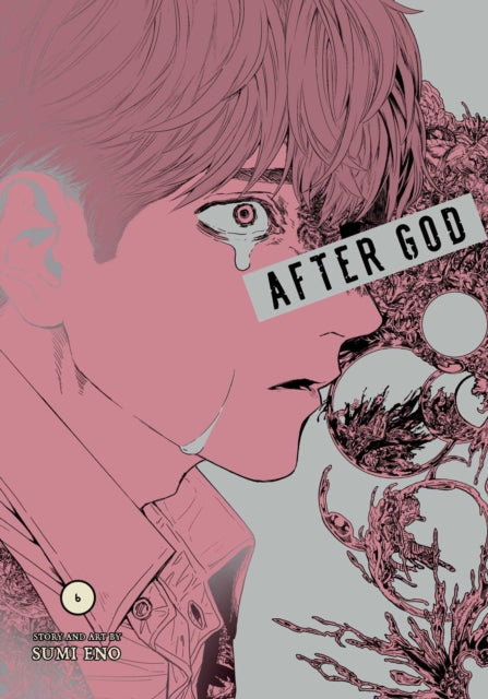 After God, Vol. 6 - 9781974758302