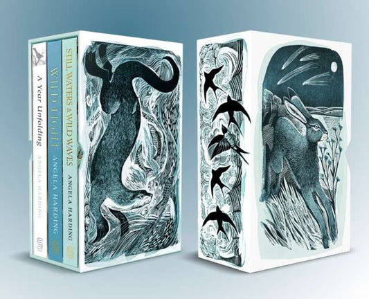 A Year Unfolding, Wild Light, Still Waters & Wild Waves - Signed Edition