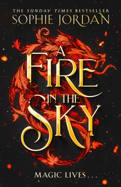 A Fire in the Sky - The Cleeve Bookshop