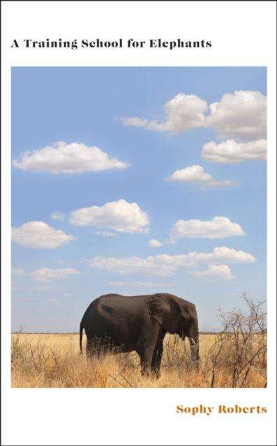 A Training School for Elephants - The Cleeve Bookshop